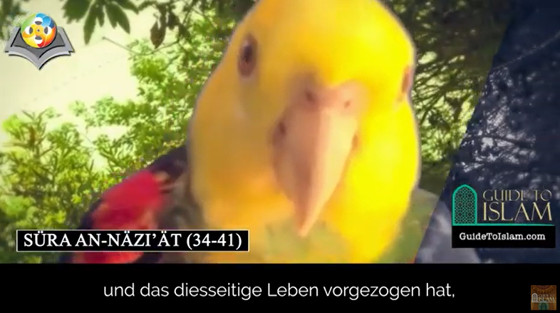 Sure An-Nazi'aat (34–41)
